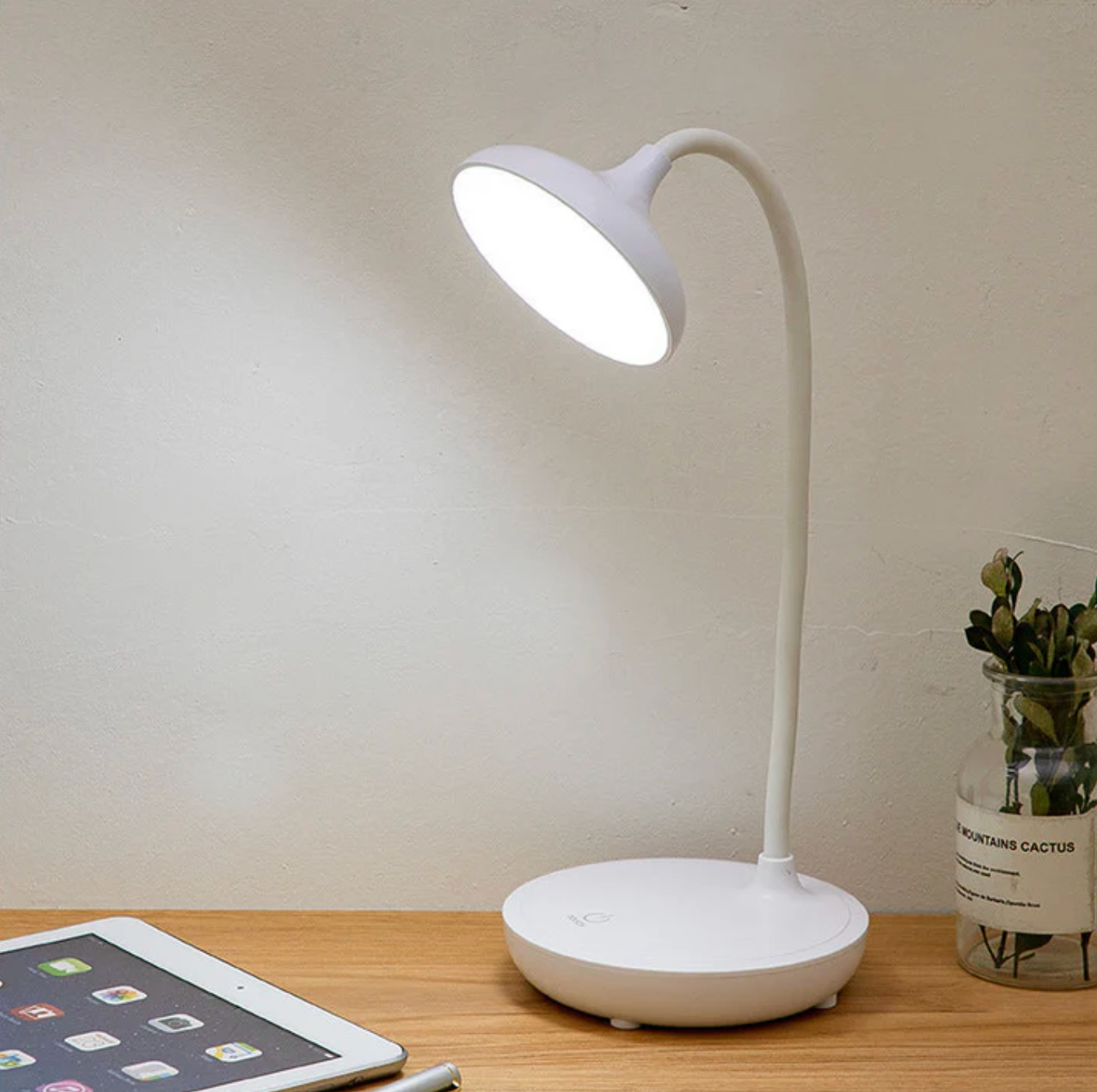 Curvane Flexible Gooseneck LED Desk Lamp