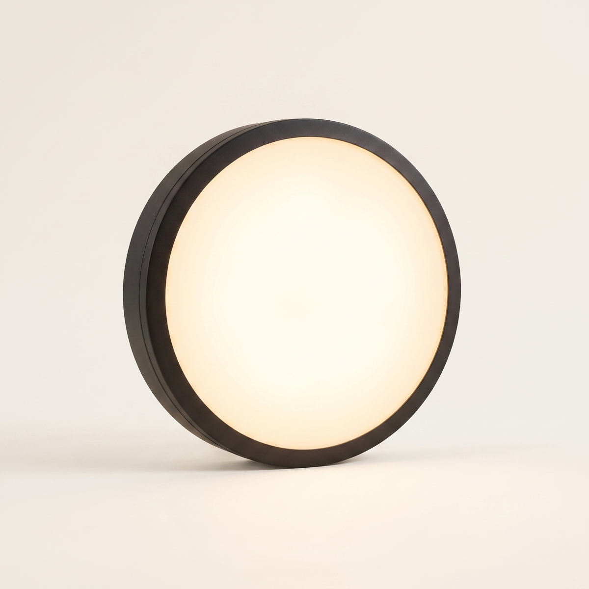 Waterproof Flush Mount Ceiling Light IP65 | LED Indoor Outdoor Fixture