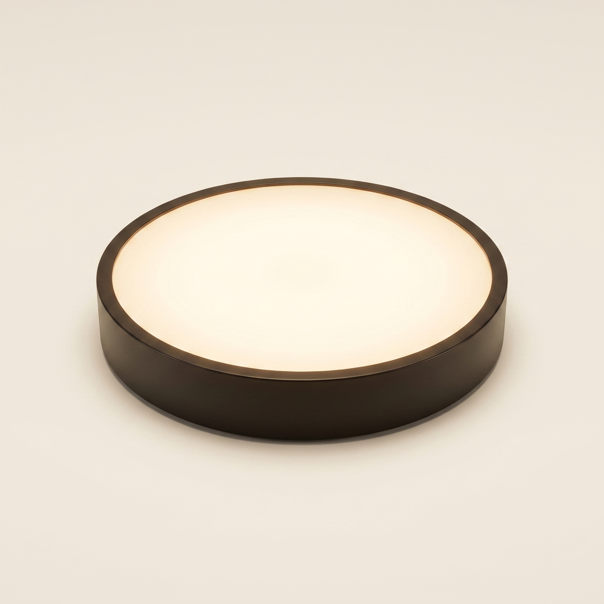 Waterproof Flush Mount Ceiling Light IP65 | LED Indoor Outdoor Fixture