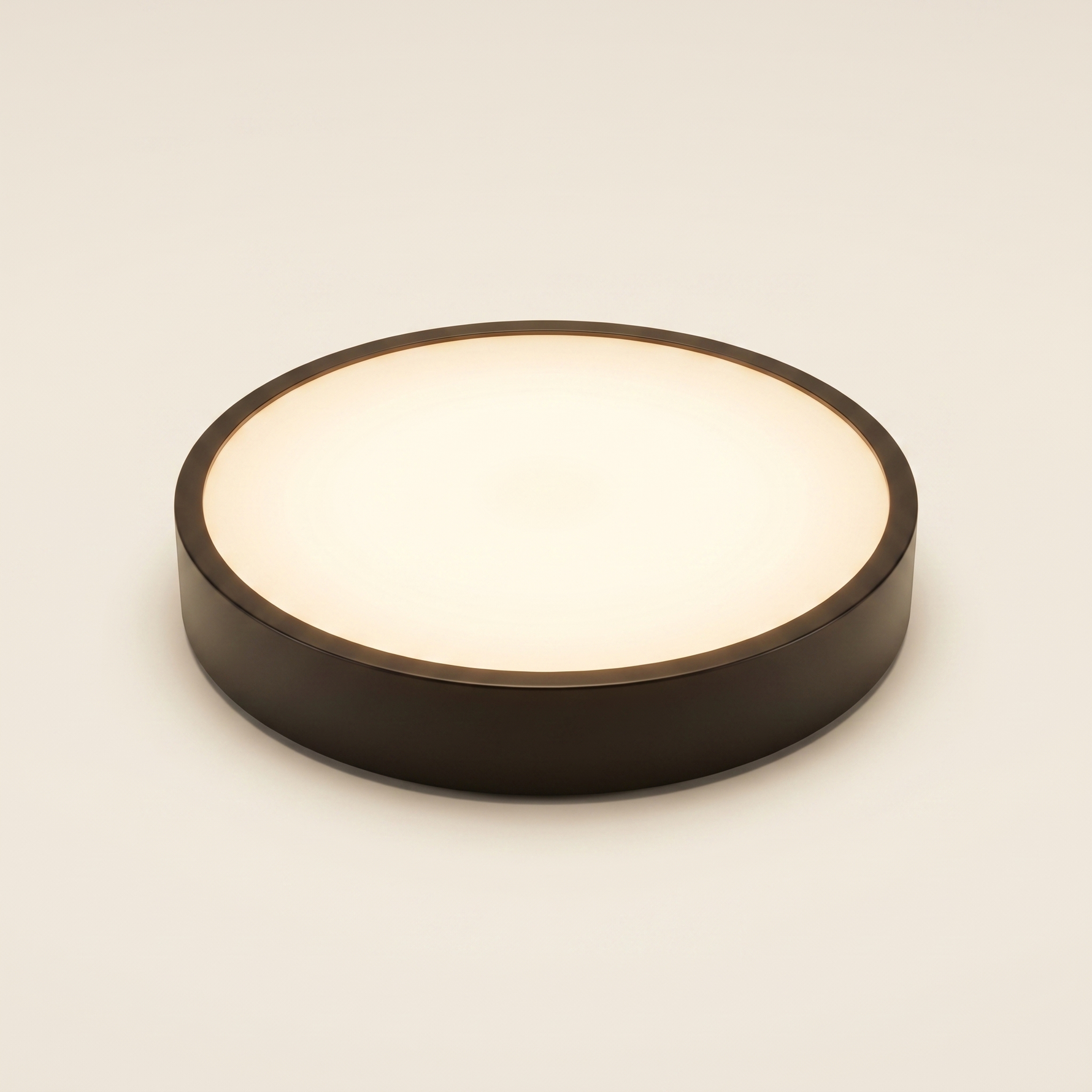 Waterproof Flush Mount Ceiling Light IP65 | LED Indoor Outdoor Fixture